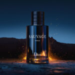DIOR SAUVAUGE (100 ML) – authentiek designer item, direct leverbaar bij Mivelia